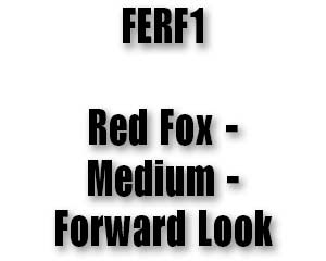 FERF1