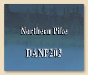 DANP202