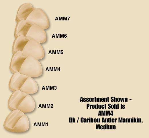AMM4