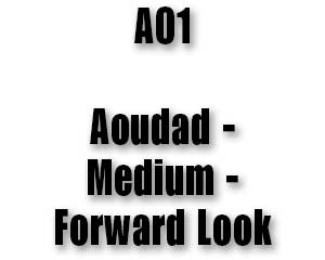 AO1
