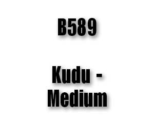 B589