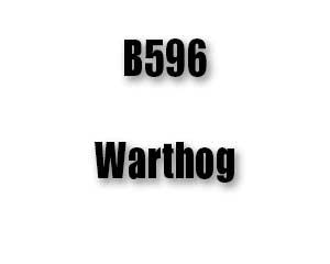 B596