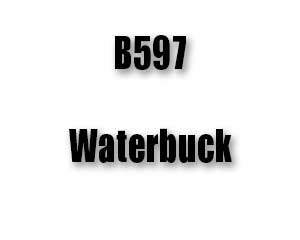 B597