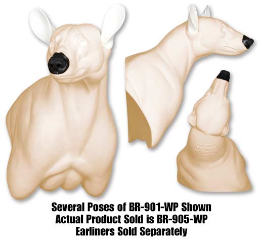BR-905-WP