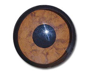 CE20GE