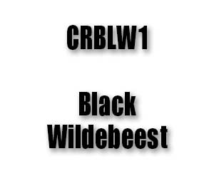 CRBLW1