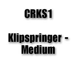 CRKS1