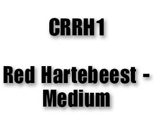 CRRH1