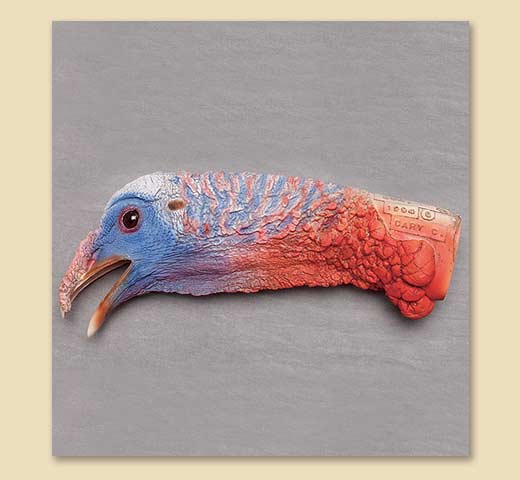 CT6D