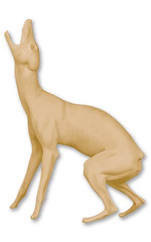 CY-607