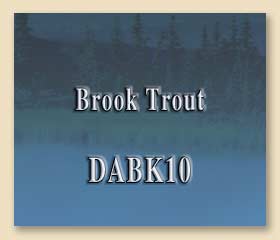 DABK10