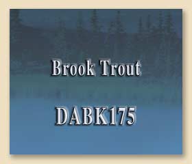 DABK175