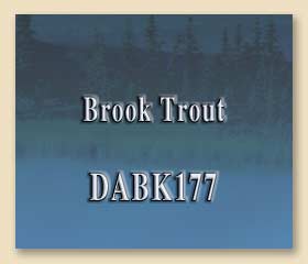 DABK177