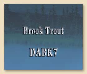 DABK7
