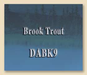 DABK9