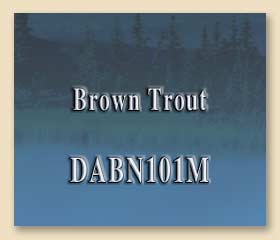 DABN101M