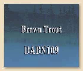 DABN109
