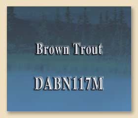 DABN117M