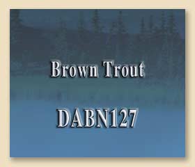 DABN127