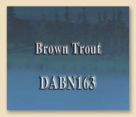 DABN163