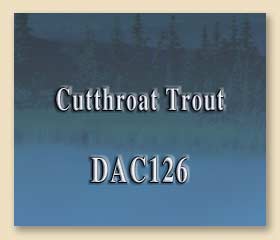 DAC126