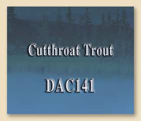 DAC141