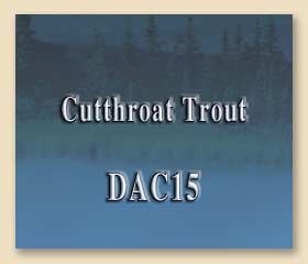 DAC15