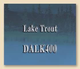DALK400