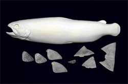 DAR127F
