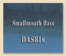 DASB16