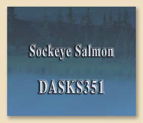DASKS351
