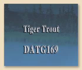 DATG169