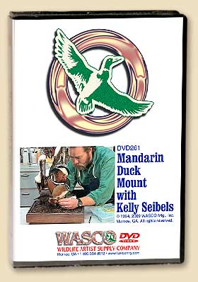 DVD261