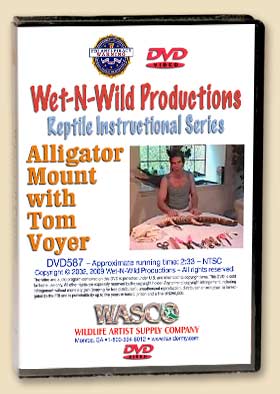 DVD587