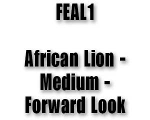 FEAL1