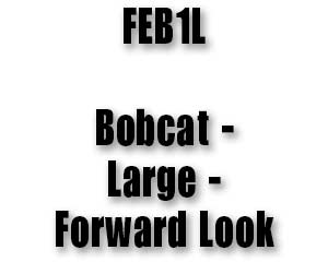 FEB1L