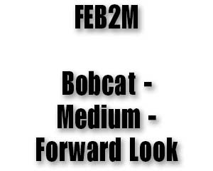 FEB2M