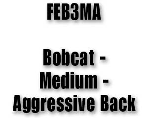 FEB3MA