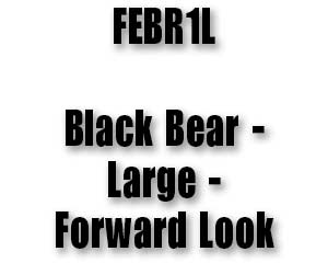 FEBR1L