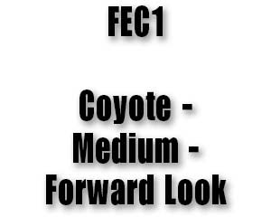 FEC1