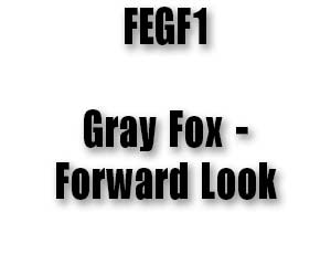 FEGF1