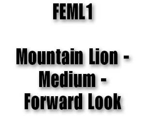 FEML1