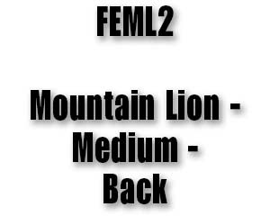 FEML2