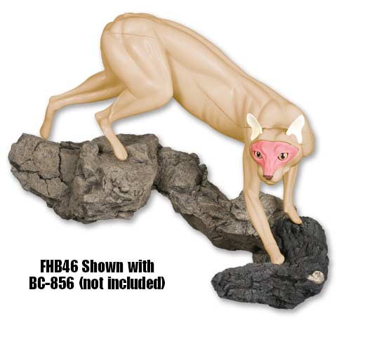 FHB46