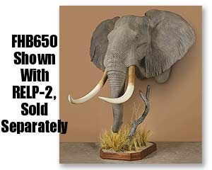 FHB650