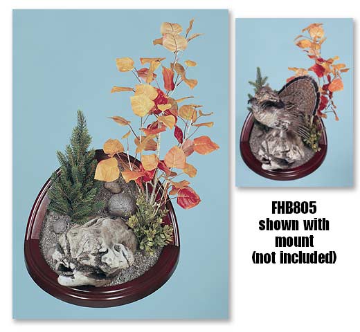 FHB805