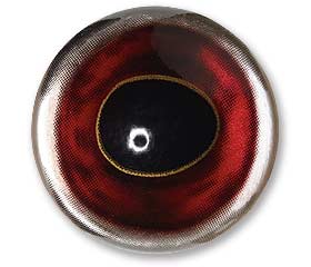 FLEXSM10