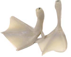 J1184