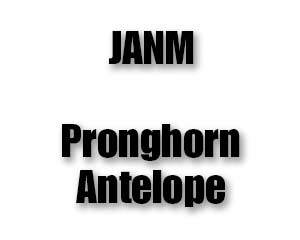 JANM