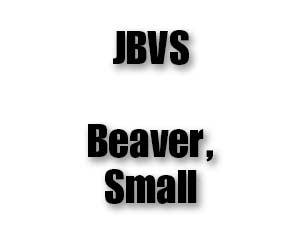 JBVS